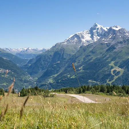 Hotel Mgm & Residences - Alpen 4*